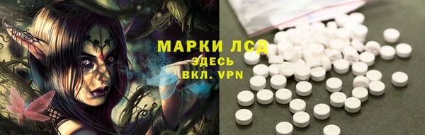 стаф Новодвинск