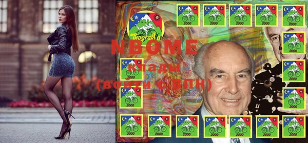 стаф Новодвинск