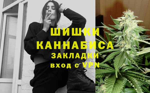 стаф Новодвинск