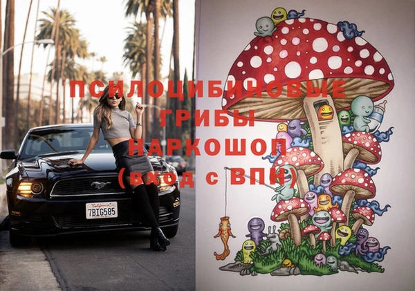 стаф Новодвинск