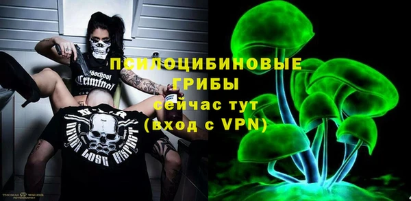 стаф Новодвинск