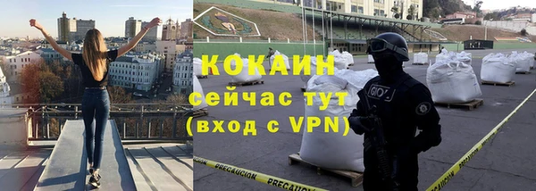 стаф Новодвинск