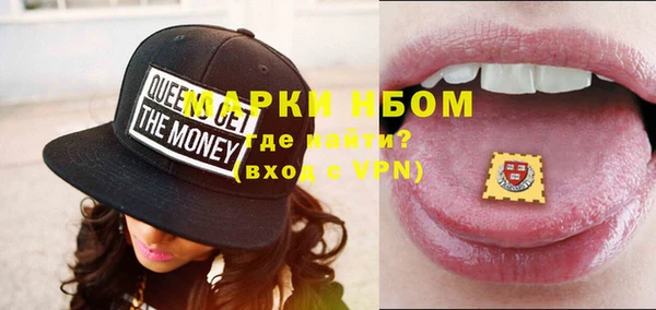 стаф Новодвинск