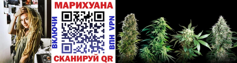 Купить закладки  Севск  Каннабис Amnesia 