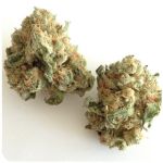 Шишки "White Widow"  (Белая вдова)  Гидропоника -  Бошка VHQ в Севске
